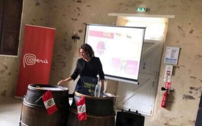 Wines Coaching
